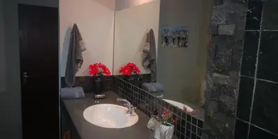 a bathroom with a sink and a mirror at Lions Gate in Marloth Park