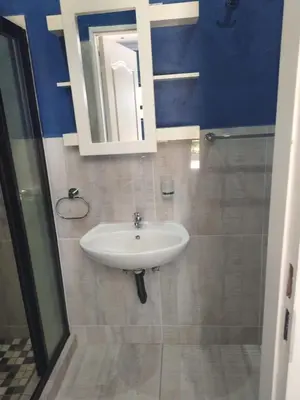 a bathroom with a sink and a mirror at Budias Guesthouse B&B in Kempton Park