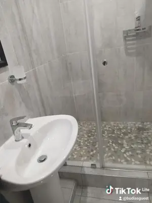 a bathroom with a sink and a shower at Budias Guesthouse B&B in Kempton Park