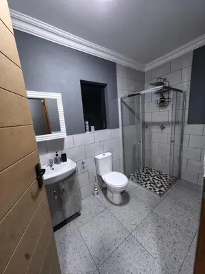 a bathroom with a shower and a toilet and a sink at Selina Guesthouse in Kempton Park