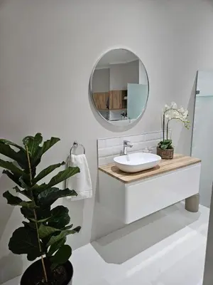 a bathroom with a sink and a mirror and a plant at Levinia Cottage in Pretoria