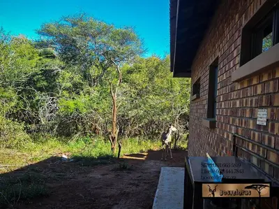 a brick building with a cow standing in a field at Krokodil Rus in Marloth Park