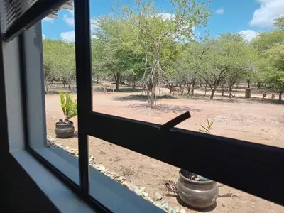 an open window with a view of a field at Taíta Lodge in Marloth Park