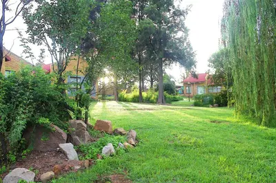 a yard with some rocks in the grass at Ador Lodges in Midrand