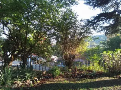 a fence in a park with trees and plants at Church Mouse House in Pilgrimʼs Rest