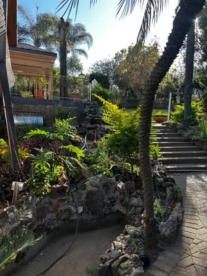 a garden with a palm tree and some stairs at Garden Studio in Waterkloof Ridge in Pretoria