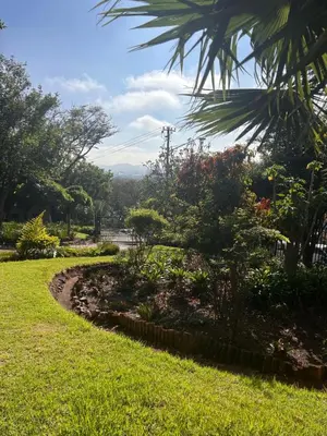 a garden with a path in the grass at Garden Studio in Waterkloof Ridge in Pretoria