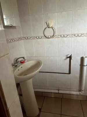 a white bathroom with a sink and a toilet at Okgethilwe Lodge in Sabie