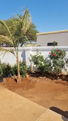 a palm tree in a garden next to a building at Mercy House Lodge in Northam