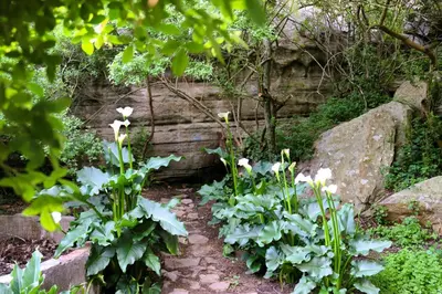 a garden with flowers and a stone wall at Meerrus Self-Catering Home in Lake Chrissie