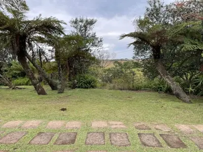 a garden with palm trees and a grass field at Eindelik on Setlaars in Graskop