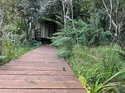 a wooden path in the middle of a forest at Eindelik on Setlaars in Graskop