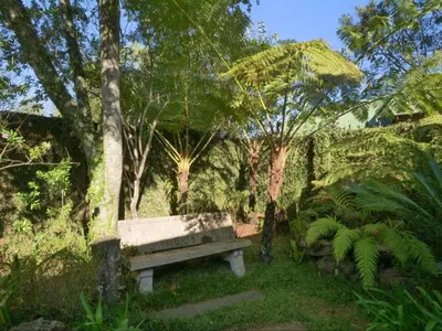 a park bench sitting in the grass near trees at Forest and Ferns in Graskop