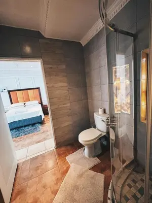 a bathroom with a shower and a toilet and a bed at Cozy stay in Kempton Park