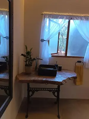 a table in a room with a plant on it at Koinonia Bush Lodge in Hartbeespoort