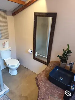 a bathroom with a toilet and a mirror on the wall at Koinonia Bush Lodge in Hartbeespoort