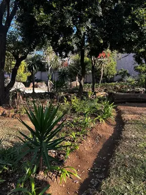 a plant in a garden with trees and grass at Garden Studio 2 Waterkloof Ridge in Pretoria