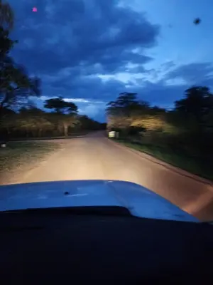 a view of the hood of a car driving down a road at Verloren Lodge in Modimolle