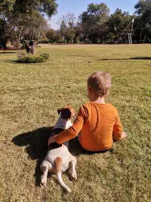 a young child playing with a dog on the grass at Hartbeespoort Cara-glamping self-cater units in Pretoria