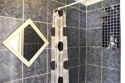 a shower with a shower curtain and a mirror at Royal Chestnut Guesthouse in Kempton Park