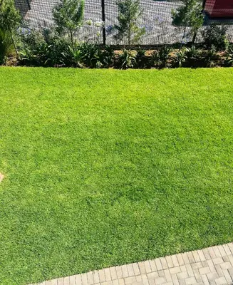 a yard of green grass next to a house at Homely Stay in Kempton Park