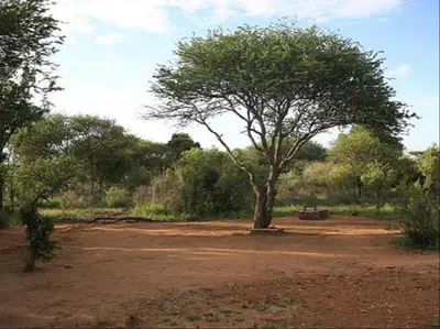 a park with a tree and a bench in a field at Ngata Safari Lodge in Hammanskraal
