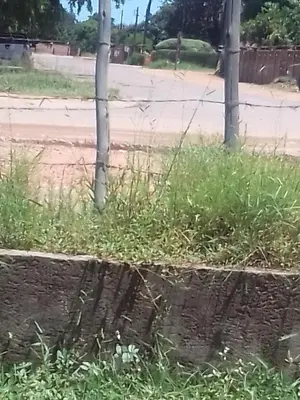 a fence in the grass next to a road at Phalaborwa tourist center & tour operator in Makushane Location