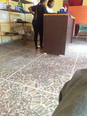 a woman standing at a desk with a mosaic floor at Phalaborwa tourist center & tour operator in Makushane Location