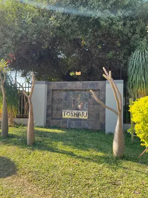 three palm trees in front of a sign at Toshari BnB in Musina