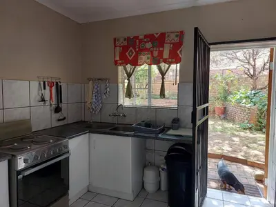 a kitchen with a dog standing in the doorway at The Green Lizard Self-catering House in Nelspruit