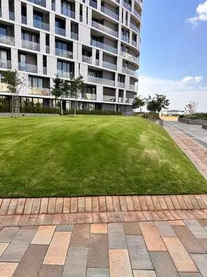 a grassy area in front of a building at 2115 Kepler, Ellipse - Serene Luxury in Midrand