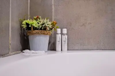 two bottles ofodorizers and a potted plant on a tub at Ridge Comfort in Midrand