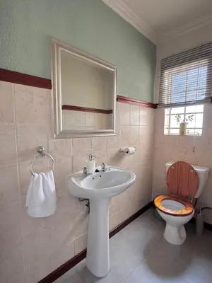 a bathroom with a sink and a toilet and a mirror at Gallery Grove in Pretoria