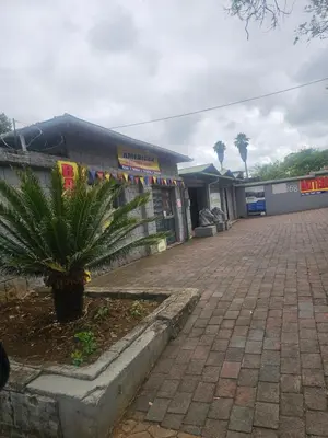 a small palm tree in front of a building at American horses in Pretoria