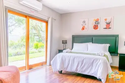 a bedroom with a bed and a large window at The Orange Tree Guest House in Nelspruit