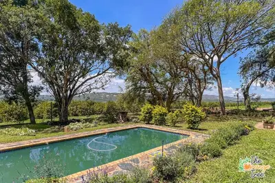 a swimming pool in a yard with trees at The Orange Tree Guest House in Nelspruit