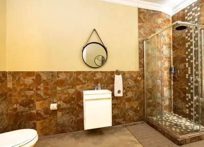 a bathroom with a shower and a toilet and a mirror at Zabini Lodge and Game Drives in Nelspruit