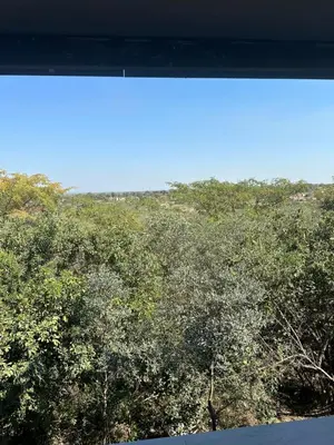 a view of trees from a train window at The Solis Aparthotel in Mzinti