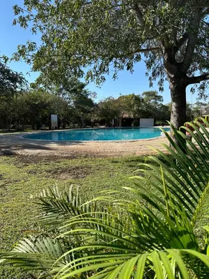 a swimming pool in a park with a tree at The Solis Aparthotel in Mzinti