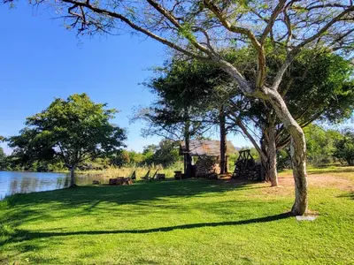 a tree in the grass next to a lake at Manchester Farmstay in White River