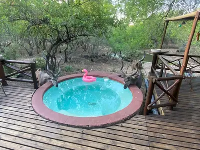 a swimming pool with a pink flamingo in it at Milkwood Holiday Home in Marloth Park