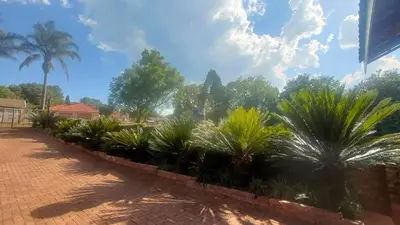 a row of palm trees in a courtyard at Tranquility Guest House in Sabie