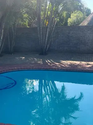 a reflection of a palm tree in a swimming pool at Happy time accommodation in Phalaborwa
