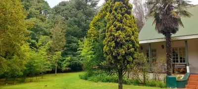 a tree in the yard next to a house at The Dutch House in Dullstroom