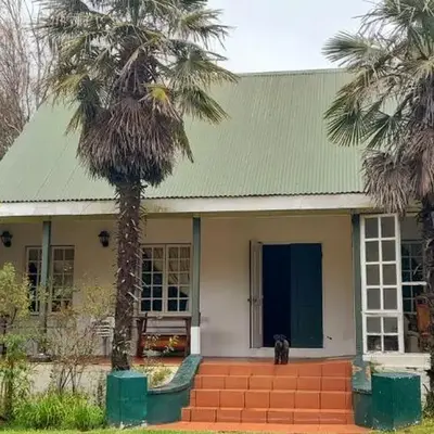 The Dutch House