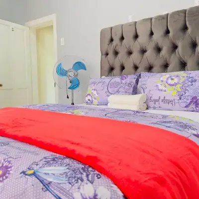 Urban Oasis Guest House