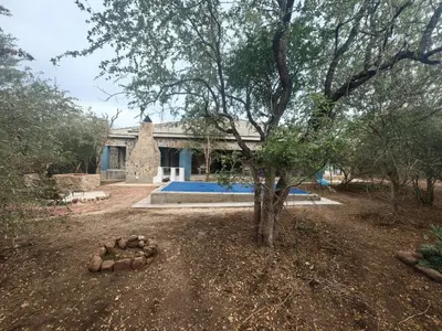 a house with a tree in front of it at Villa in the Wild in Marloth Park