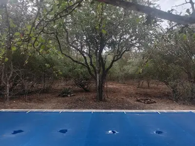 a blue tennis court with a tree in the background at Villa in the Wild in Marloth Park