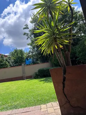 a palm tree in a planter in a yard at 3 Bed Holiday Home in Witbank