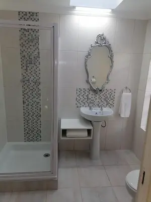 a bathroom with a sink and a shower and a mirror at Shalom Cottage in Kempton Park